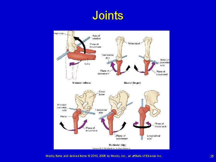 Joints Mosby items and derived items © 2010, 2006 by Mosby, Inc. , an