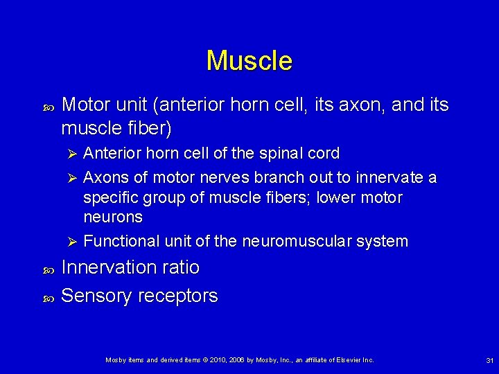 Muscle Motor unit (anterior horn cell, its axon, and its muscle fiber) Anterior horn