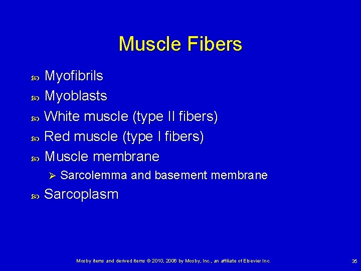 Muscle Fibers Myofibrils Myoblasts White muscle (type II fibers) Red muscle (type I fibers)