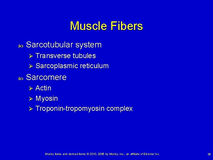 Muscle Fibers Sarcotubular system Transverse tubules Ø Sarcoplasmic reticulum Ø Sarcomere Actin Ø Myosin