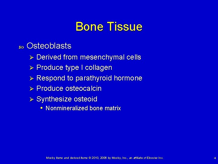 Bone Tissue Osteoblasts Derived from mesenchymal cells Ø Produce type I collagen Ø Respond