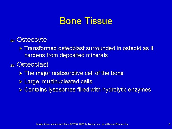 Bone Tissue Osteocyte Ø Transformed osteoblast surrounded in osteoid as it hardens from deposited