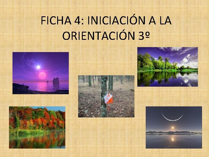 FICHA 4: INICIACIÓN A LA ORIENTACIÓN 3º 