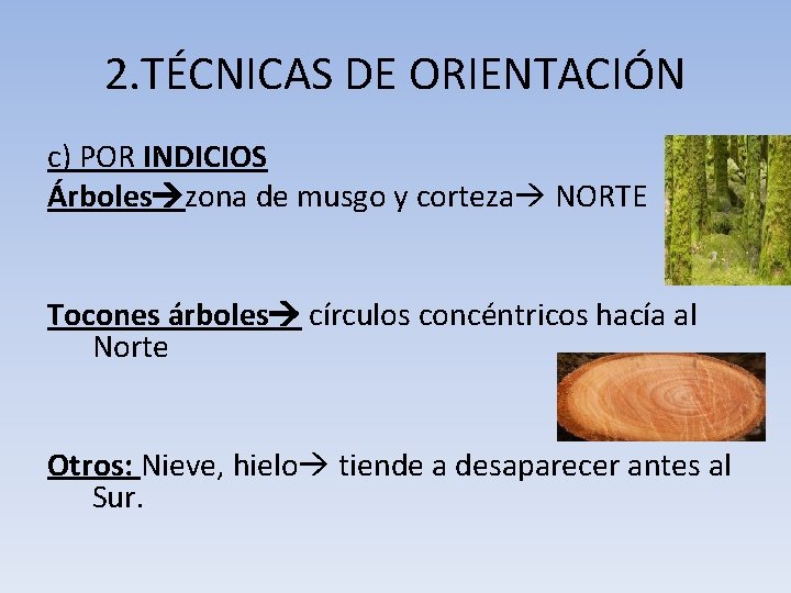 2. TÉCNICAS DE ORIENTACIÓN c) POR INDICIOS Árboles zona de musgo y corteza NORTE