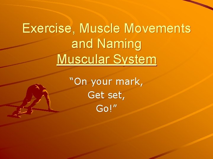 Exercise, Muscle Movements and Naming Muscular System “On your mark, Get set, Go!” 
