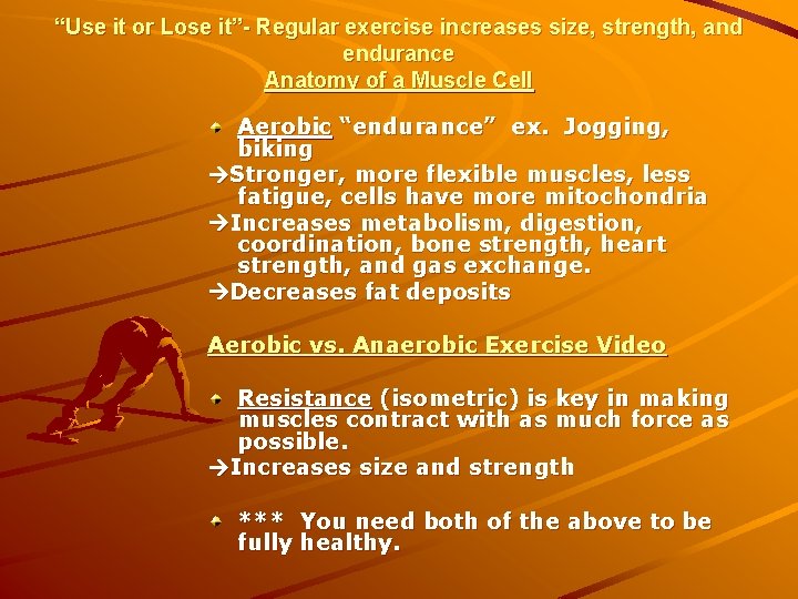 “Use it or Lose it”- Regular exercise increases size, strength, and endurance Anatomy of