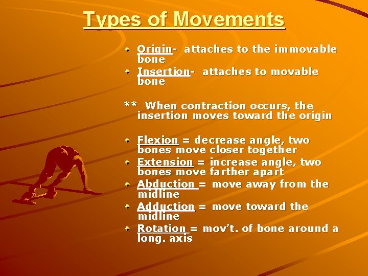 Types of Movements Origin- attaches to the immovable bone Insertion- attaches to movable bone