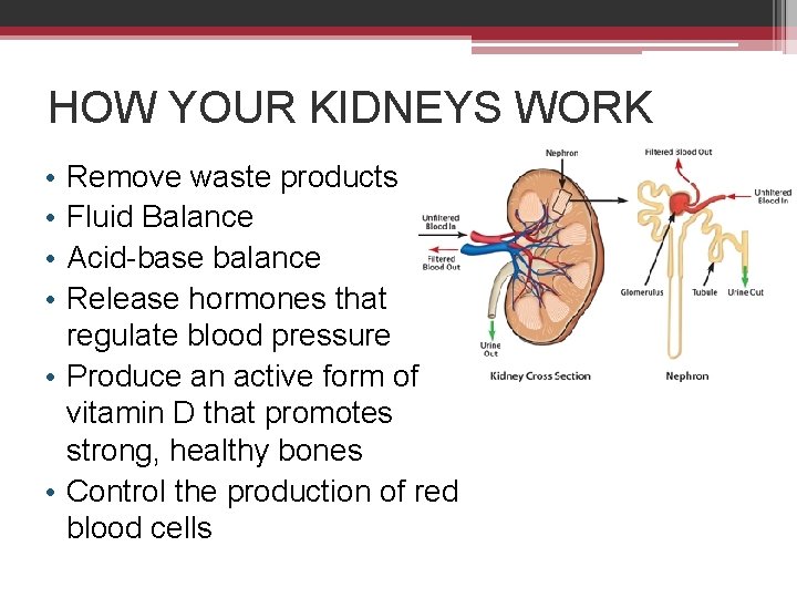 Renal Nutrition Diets for Dialysis Presented BY Avery