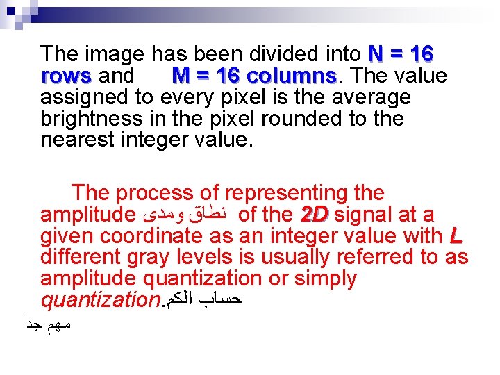 The image has been divided into N = 16 rows and M = 16 The image has been divided into N = 16 rows and M = 16