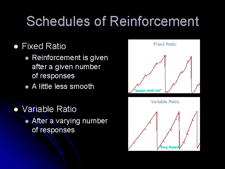 Schedules of Reinforcement l Fixed Ratio l l l Reinforcement is given after a