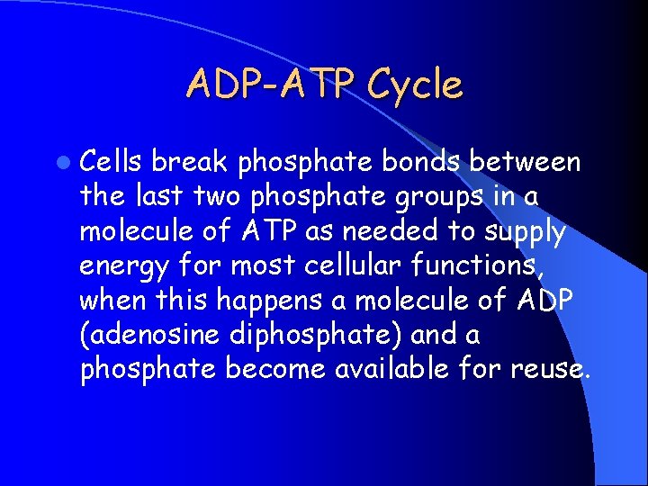 ADP-ATP Cycle l Cells break phosphate bonds between the last two phosphate groups in