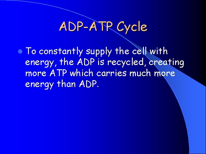 ADP-ATP Cycle l To constantly supply the cell with energy, the ADP is recycled,