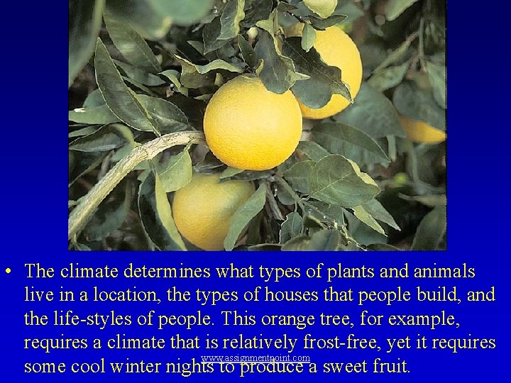  • The climate determines what types of plants and animals live in a