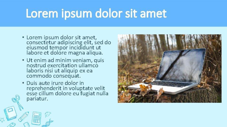 Lorem ipsum dolor sit amet • Lorem ipsum dolor sit amet, consectetur adipiscing elit,