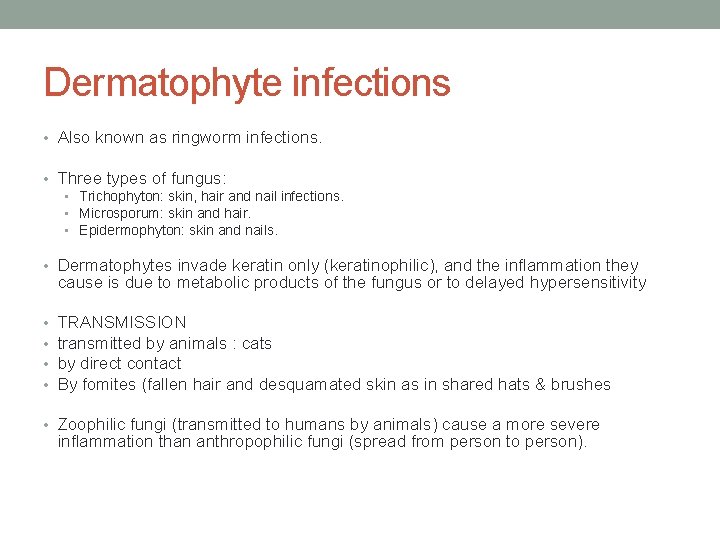 Dermatophyte infections • Also known as ringworm infections. • Three types of fungus: •