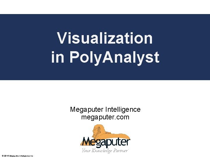 Visualization Poly. Analyst in Poly. Analyst Web Report Training Megaputer Intelligence megaputer. com ©