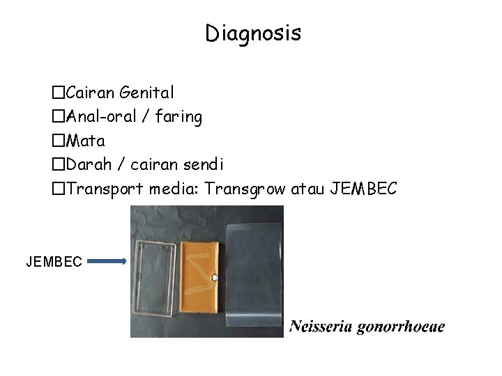 Diagnosis �Cairan Genital �Anal-oral / faring �Mata �Darah / cairan sendi �Transport media: Transgrow