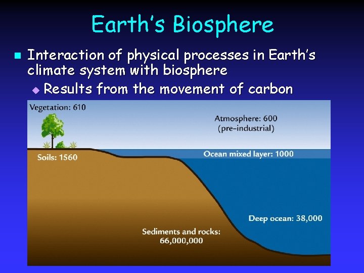 Earth’s Biosphere n Interaction of physical processes in Earth’s climate system with biosphere u