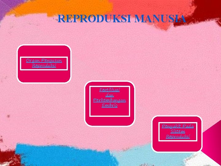 REPRODUKSI MANUSIA Organ Penyusun Reproduksi Fertilisasi dan Perkembangan Embrio Penyakit Pada Sistem Reproduksi 