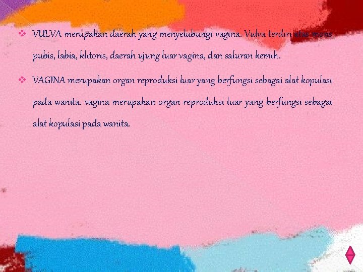 v VULVA merupakan daerah yang menyelubungi vagina. Vulva terdiri atas mons pubis, labia, klitoris,