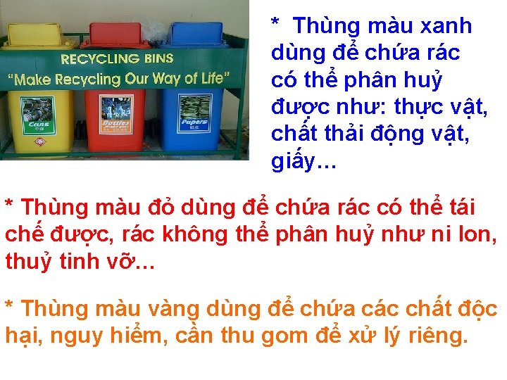 * Thùng màu xanh dùng để chứa rác có thể phân huỷ được như: