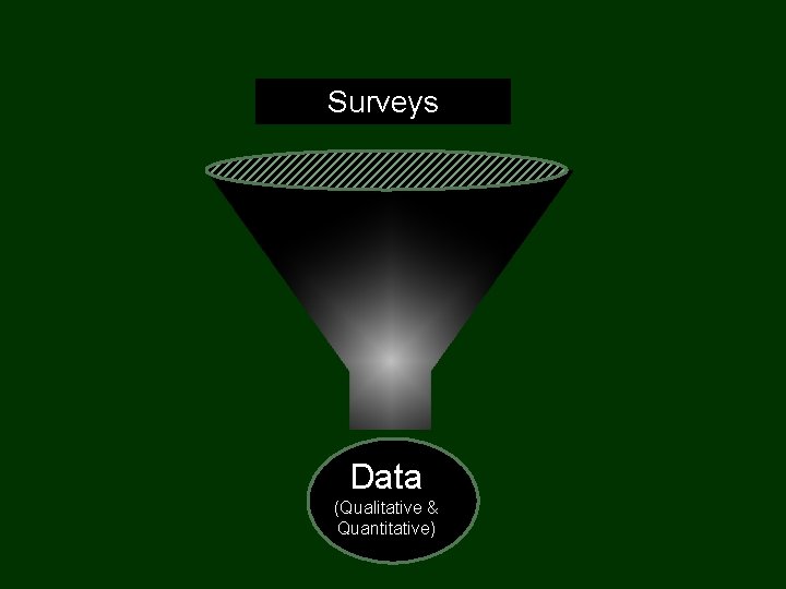Surveys Data (Qualitative & Quantitative) 