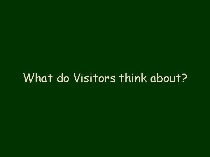 What do Visitors think about? 
