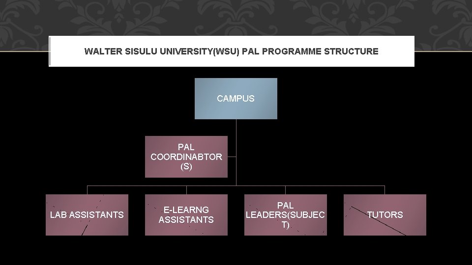 WALTER SISULU UNIVERSITY(WSU) PAL PROGRAMME STRUCTURE CAMPUS PAL COORDINABTOR (S) LAB ASSISTANTS E-LEARNG ASSISTANTS