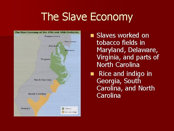 The Slave Economy Slaves worked on tobacco fields in Maryland, Delaware, Virginia, and parts