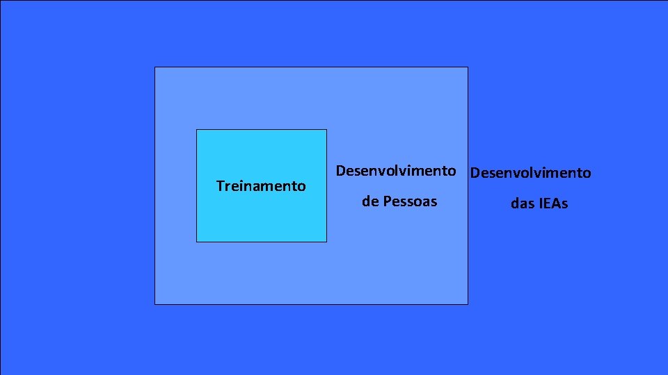 Treinamento Desenvolvimento de Pessoas das IEAs 