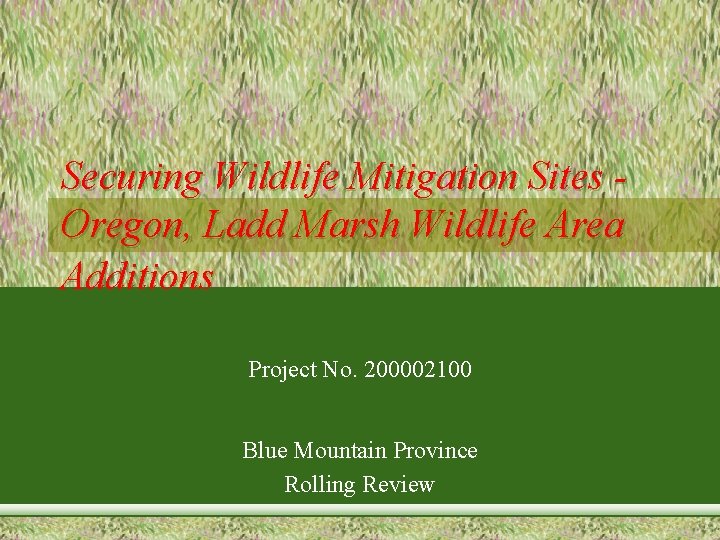 Securing Wildlife Mitigation Sites Oregon, Ladd Marsh Wildlife Area Additions Project No. 200002100 Blue