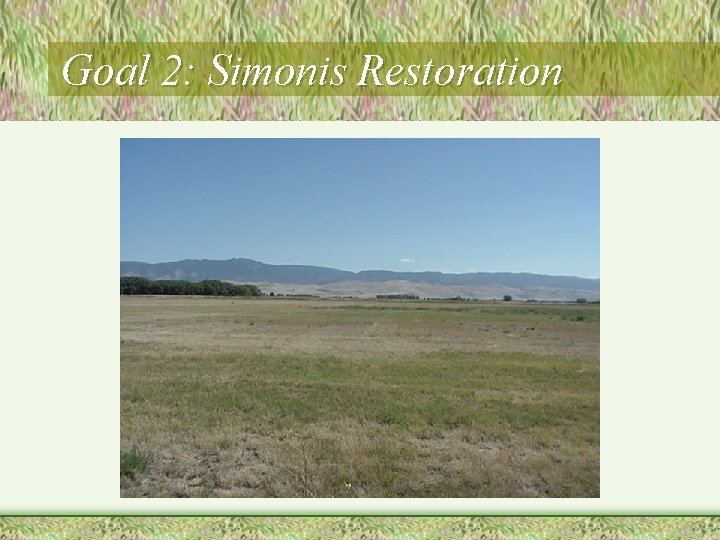 Goal 2: Simonis Restoration 