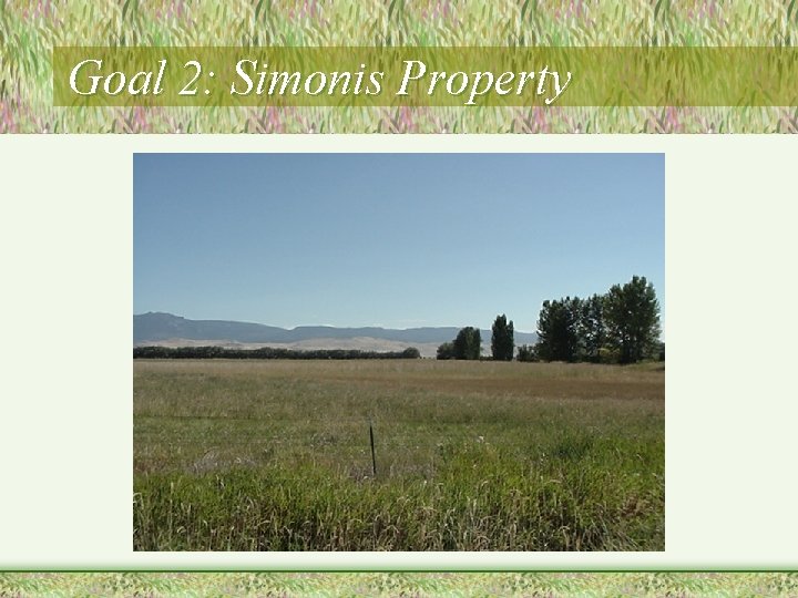 Goal 2: Simonis Property 