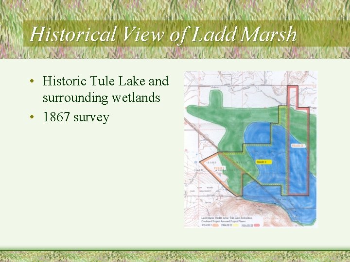 Historical View of Ladd Marsh • Historic Tule Lake and surrounding wetlands • 1867