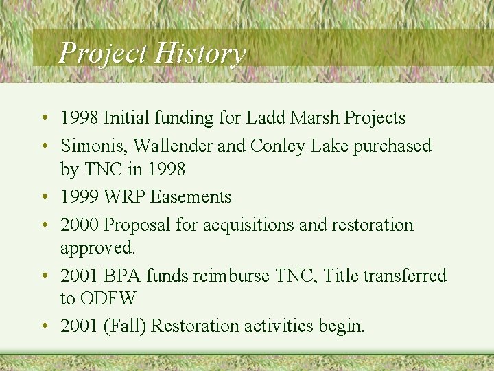 Project History • 1998 Initial funding for Ladd Marsh Projects • Simonis, Wallender and