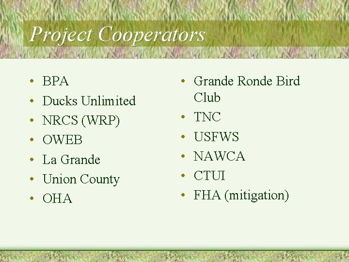 Project Cooperators • • BPA Ducks Unlimited NRCS (WRP) OWEB La Grande Union County