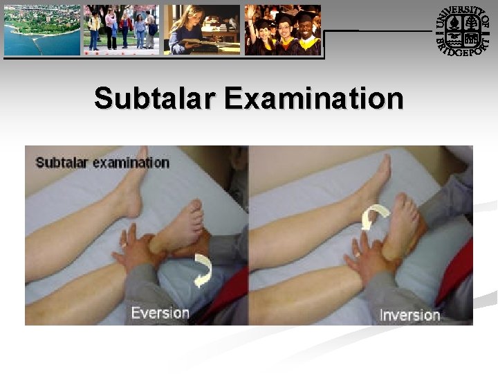 Subtalar Examination 