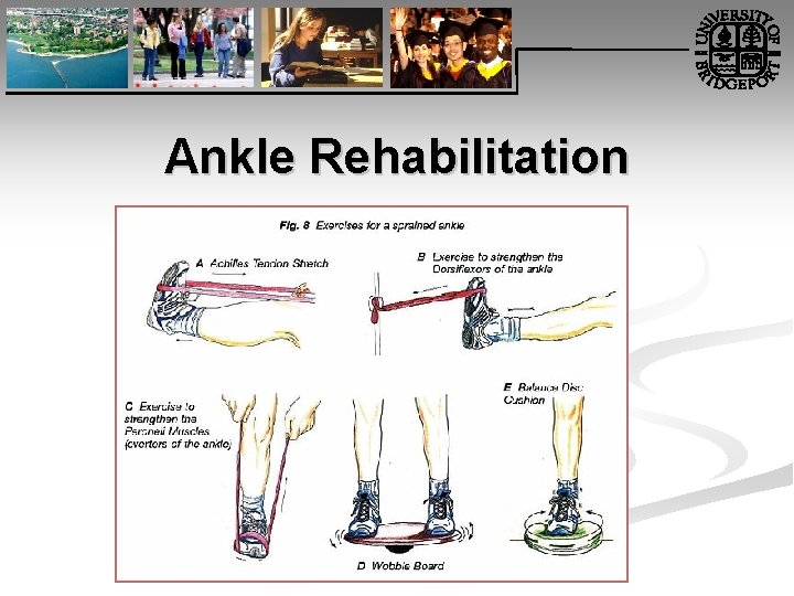 Ankle Rehabilitation 