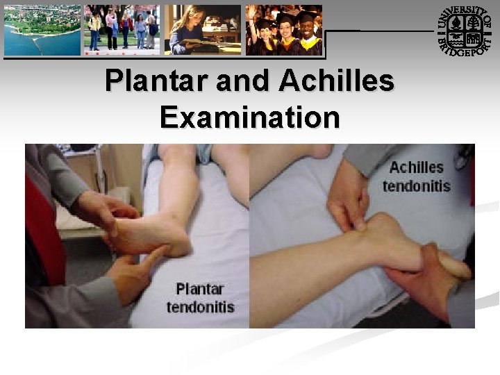 Plantar and Achilles Examination 