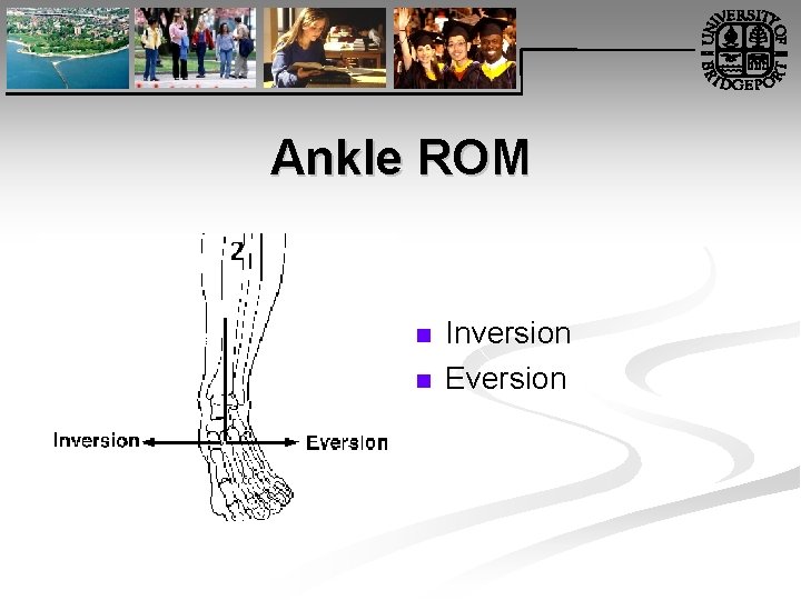 Ankle ROM n n Inversion Eversion 