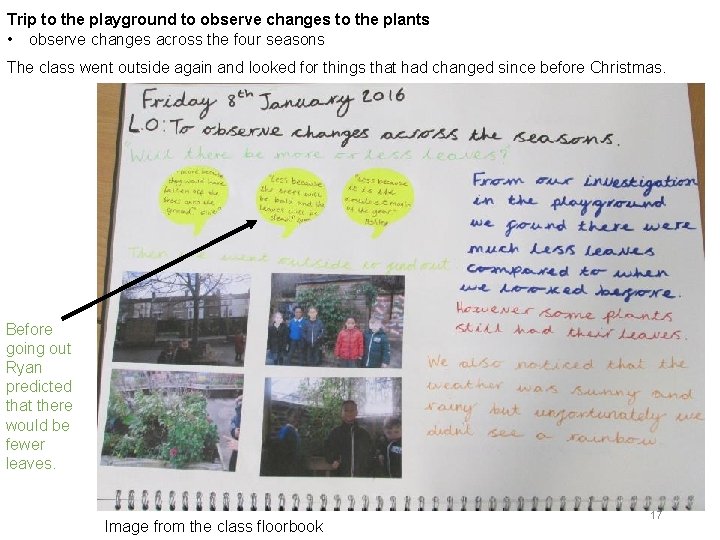 Trip to the playground to observe changes to the plants • observe changes across