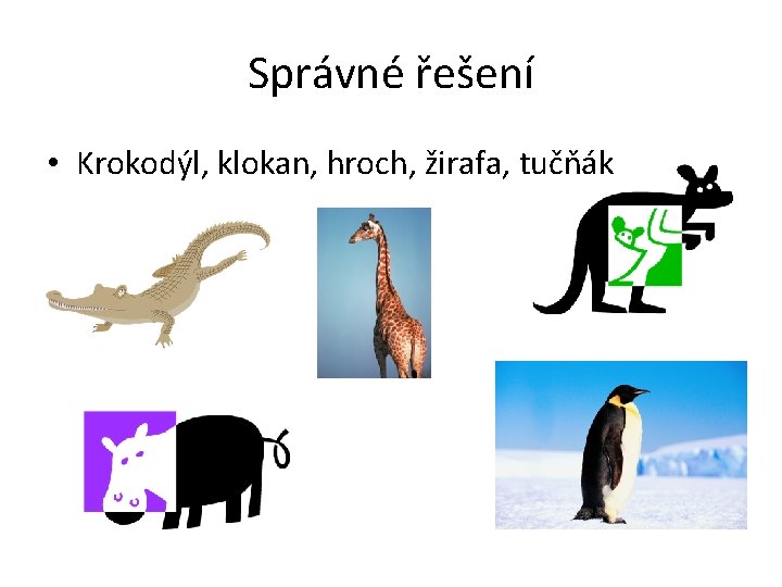 Správné řešení • Krokodýl, klokan, hroch, žirafa, tučňák 