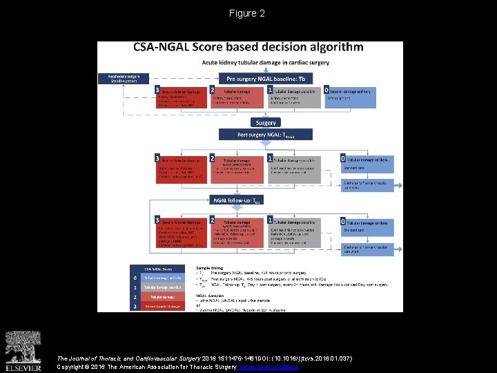 Figure 2 The Journal of Thoracic and Cardiovascular Surgery 2016 1511476 -1481 DOI: (10.