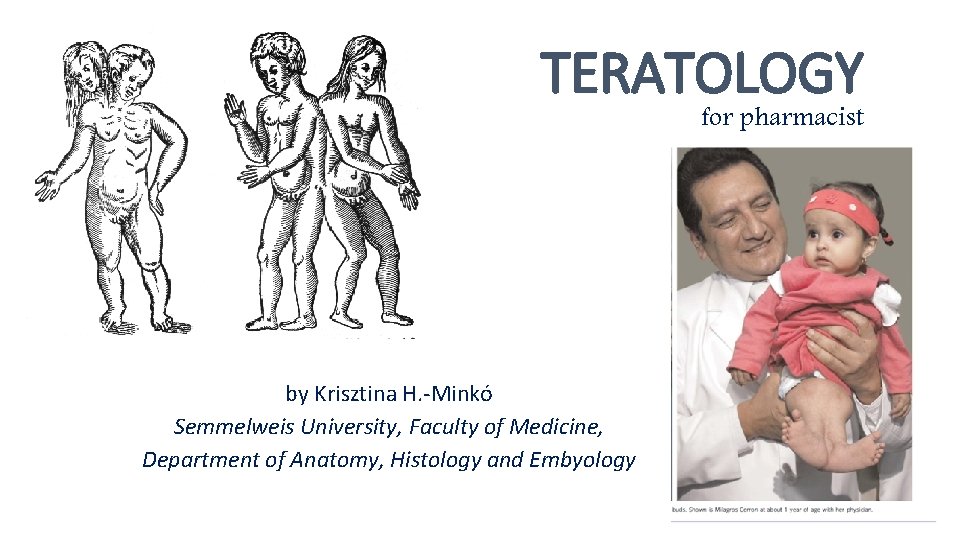 TERATOLOGY for pharmacist by Krisztina H. -Minkó Semmelweis University, Faculty of Medicine, Department of