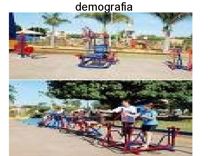 demografia 