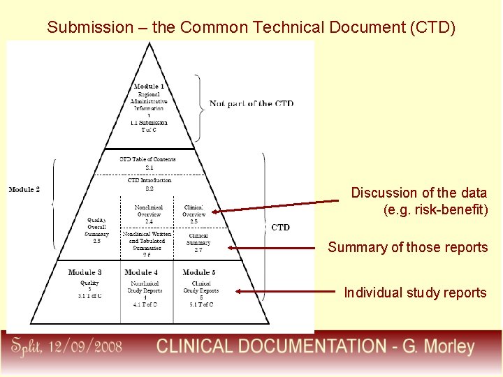 Submission – the Common Technical Document (CTD) Discussion of the data (e. g. risk-benefit)