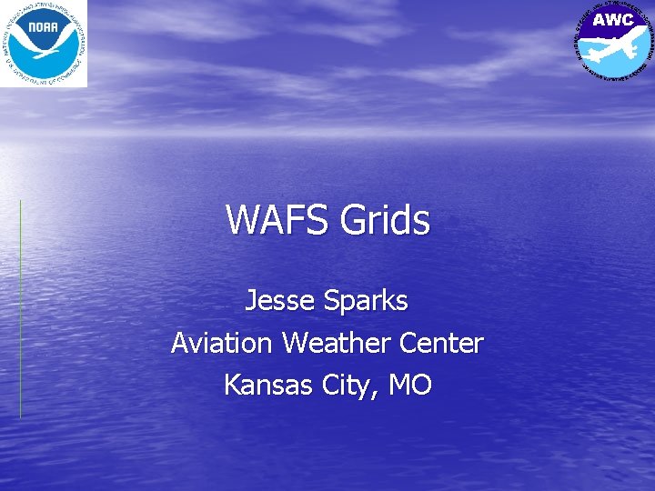 WAFS Grids Jesse Sparks Aviation Weather Center Kansas City, MO 