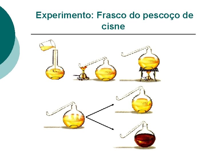 Experimento: Frasco do pescoço de cisne 