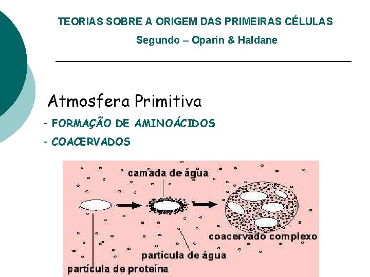 TEORIAS SOBRE A ORIGEM DAS PRIMEIRAS CÉLULAS Segundo – Oparin & Haldane Atmosfera Primitiva