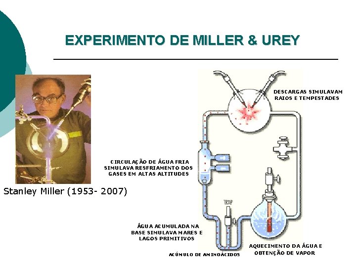 EXPERIMENTO DE MILLER & UREY DESCARGAS SIMULAVAM RAIOS E TEMPESTADES CIRCULAÇÃO DE ÁGUA FRIA